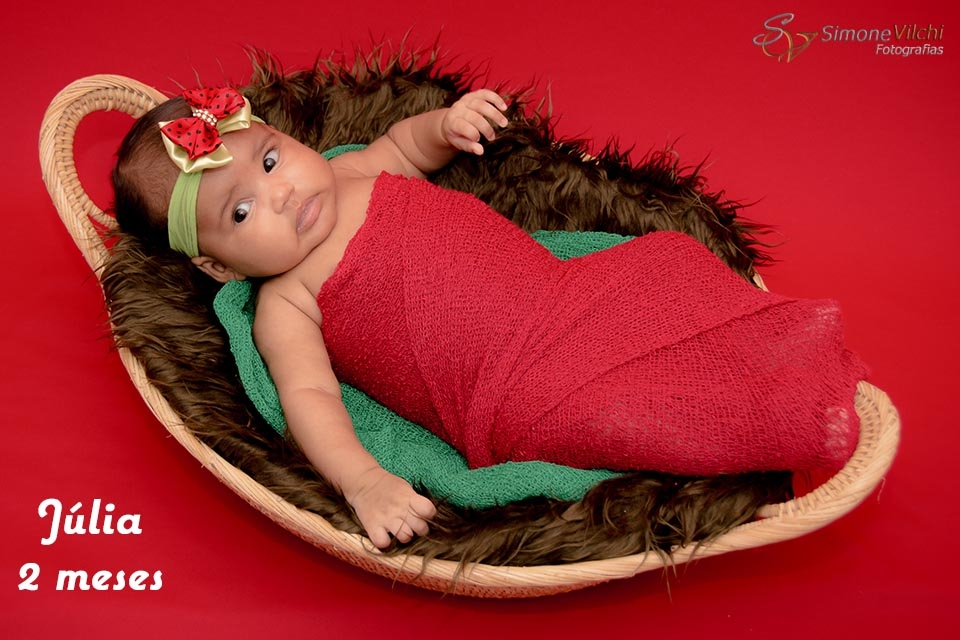 Orçamento de Ensaio Fotográfico de Acompanhamento do Bebê na Continental - Ensaio Fotográfico